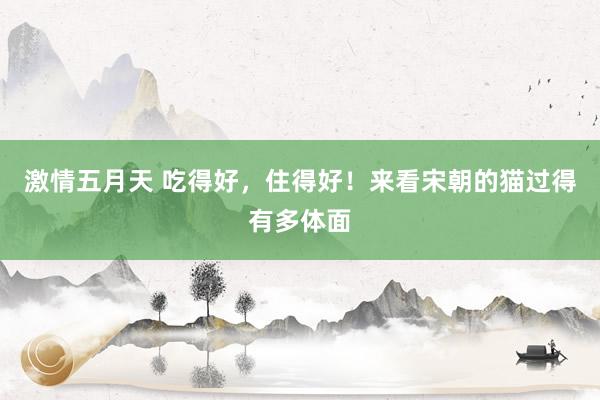 激情五月天 吃得好，住得好！来看宋朝的猫过得有多体面