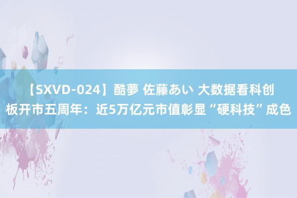 【SXVD-024】酷夢 佐藤あい 大数据看科创板开市五周年：近5万亿元市值彰显“硬科技”成色