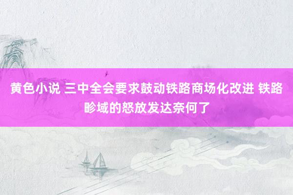 黄色小说 三中全会要求鼓动铁路商场化改进 铁路畛域的怒放发达奈何了