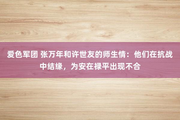 爱色军团 张万年和许世友的师生情：他们在抗战中结缘，为安在禄平出现不合