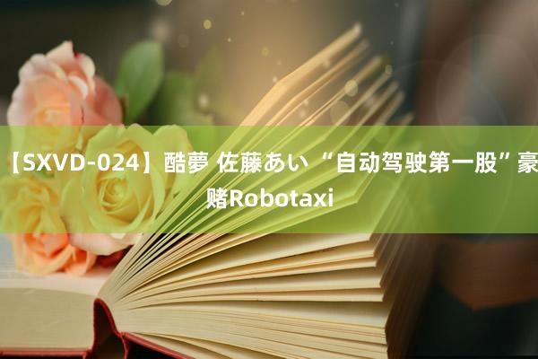 【SXVD-024】酷夢 佐藤あい “自动驾驶第一股”豪赌Robotaxi