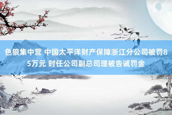 色狼集中营 中国太平洋财产保障浙江分公司被罚85万元 时任公司副总司理被告诫罚金