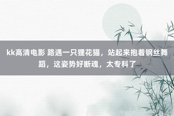 kk高清电影 路遇一只狸花猫，站起来抱着钢丝舞蹈，这姿势好断魂，太专科了