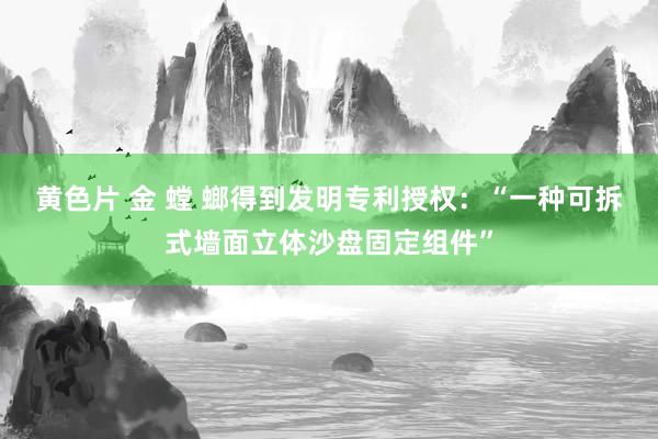 黄色片 金 螳 螂得到发明专利授权：“一种可拆式墙面立体沙盘固定组件”