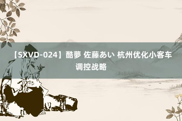 【SXVD-024】酷夢 佐藤あい 杭州优化小客车调控战略