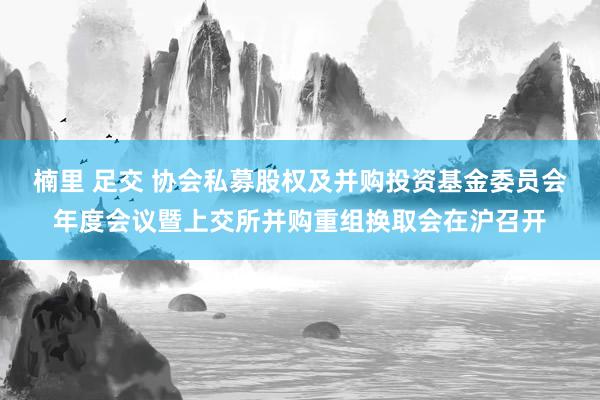 楠里 足交 协会私募股权及并购投资基金委员会年度会议暨上交所并购重组换取会在沪召开