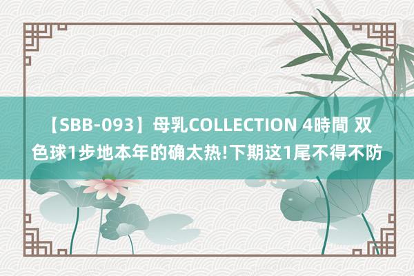 【SBB-093】母乳COLLECTION 4時間 双色球1步地本年的确太热!下期这1尾不得不防
