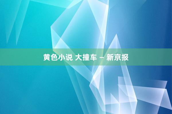 黄色小说 大撞车 — 新京报