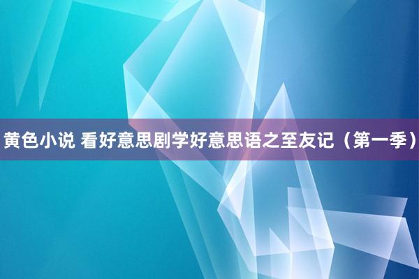 黄色小说 看好意思剧学好意思语之至友记（第一季）