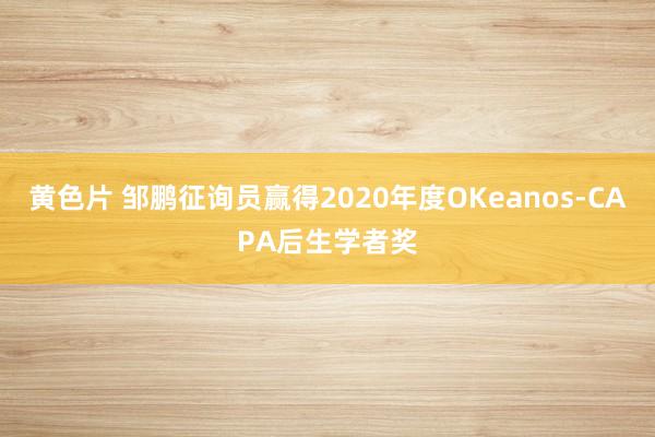 黄色片 邹鹏征询员赢得2020年度OKeanos-CAPA后生学者奖