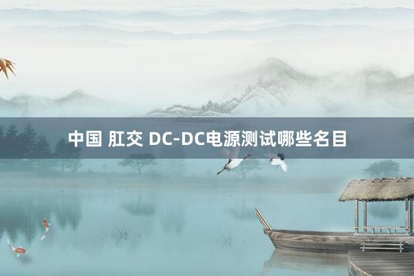 中国 肛交 DC-DC电源测试哪些名目