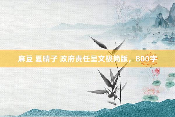 麻豆 夏晴子 政府责任呈文极简版，800字