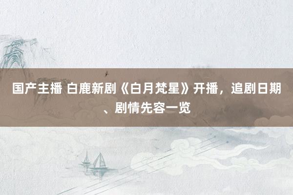 国产主播 白鹿新剧《白月梵星》开播，追剧日期、剧情先容一览