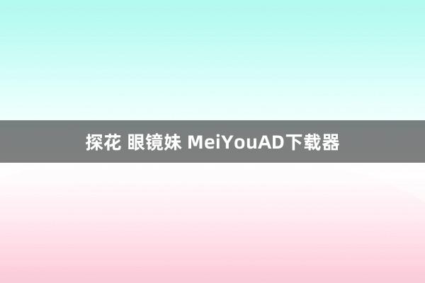 探花 眼镜妹 MeiYouAD下载器