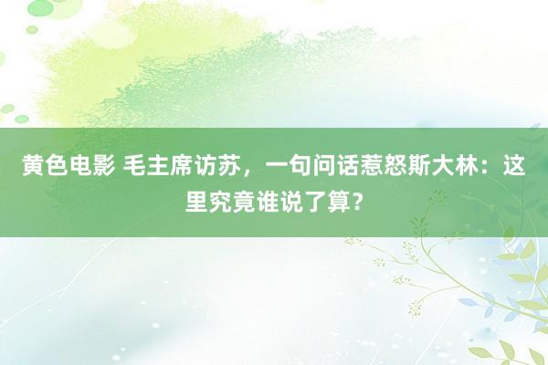黄色电影 毛主席访苏，一句问话惹怒斯大林：这里究竟谁说了算？