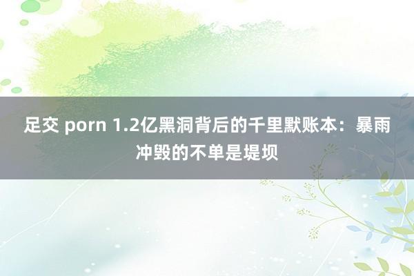 足交 porn 1.2亿黑洞背后的千里默账本：暴雨冲毁的不单是堤坝