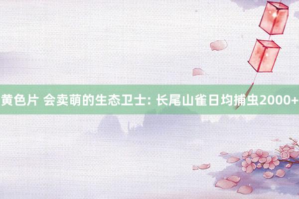 黄色片 会卖萌的生态卫士: 长尾山雀日均捕虫2000+