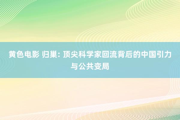 黄色电影 归巢: 顶尖科学家回流背后的中国引力与公共变局