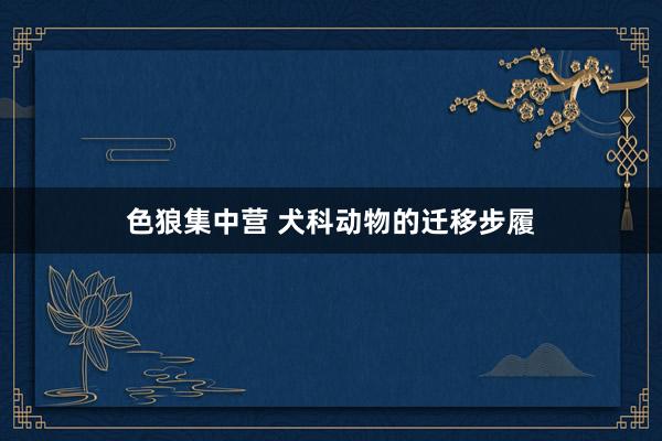 色狼集中营 犬科动物的迁移步履