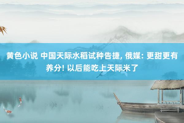 黄色小说 中国天际水稻试种告捷， 俄媒: 更甜更有养分! 以后能吃上天际米了