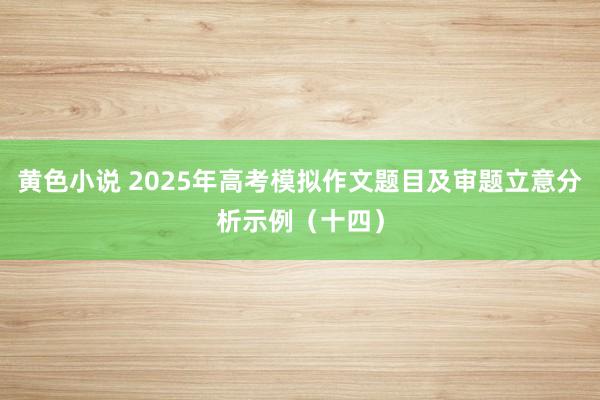 黄色小说 2025年高考模拟作文题目及审题立意分析示例（十四）