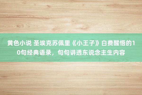 黄色小说 圣埃克苏佩里《小王子》白费醒悟的10句经典语录，句句讲透东说念主生内容